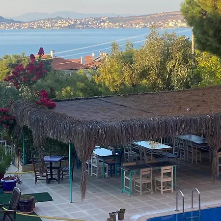 Tunc Ayvalı