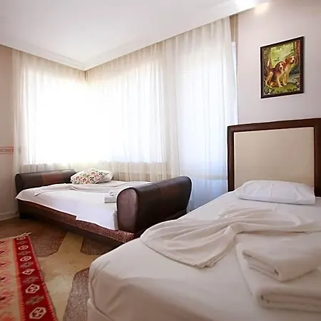 Tunc 3* Ayvalı