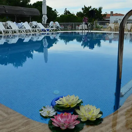 Tunc Ayvalı